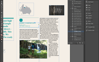 MIKA – InDesign