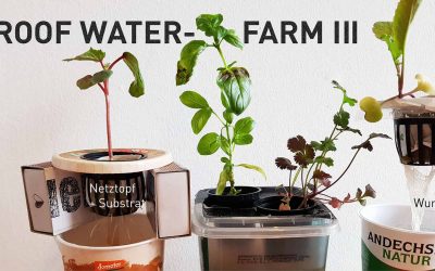 tu project – Roof Water-Farm III