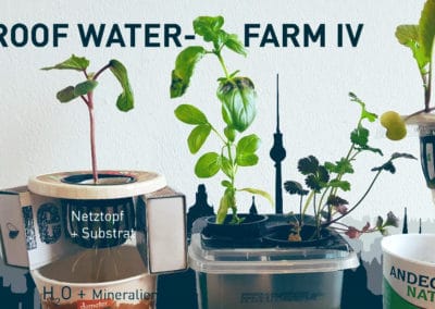 tu project – Roof Water-Farm IV